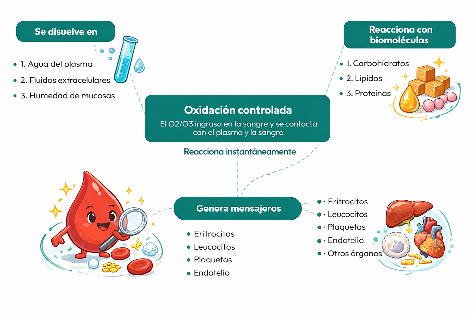 Mecanismo de acción del ozono