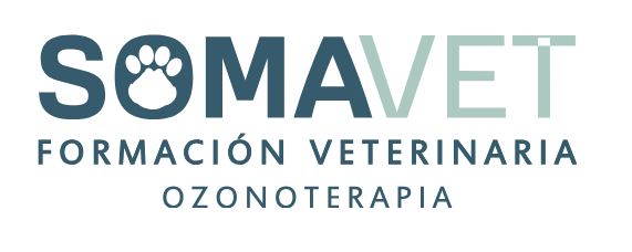 Somavet Formación