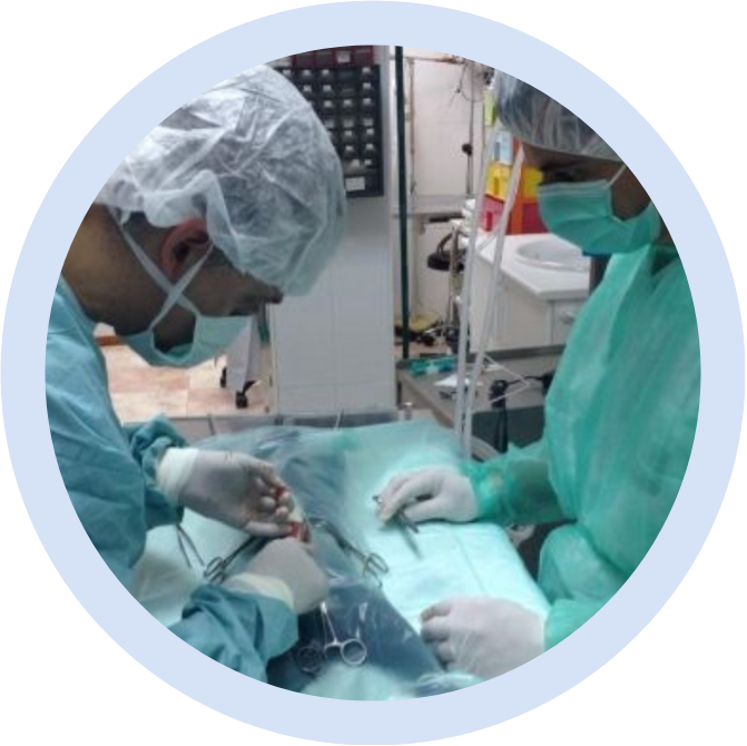 Pre y post quirúrgicos